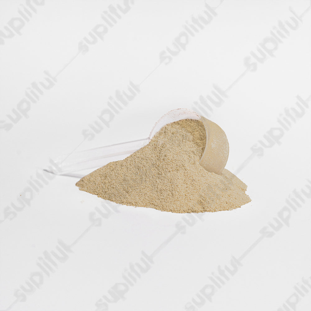 Advanced 100% Whey Protein Isolate (Vanilla)